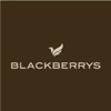 blackberrys 2